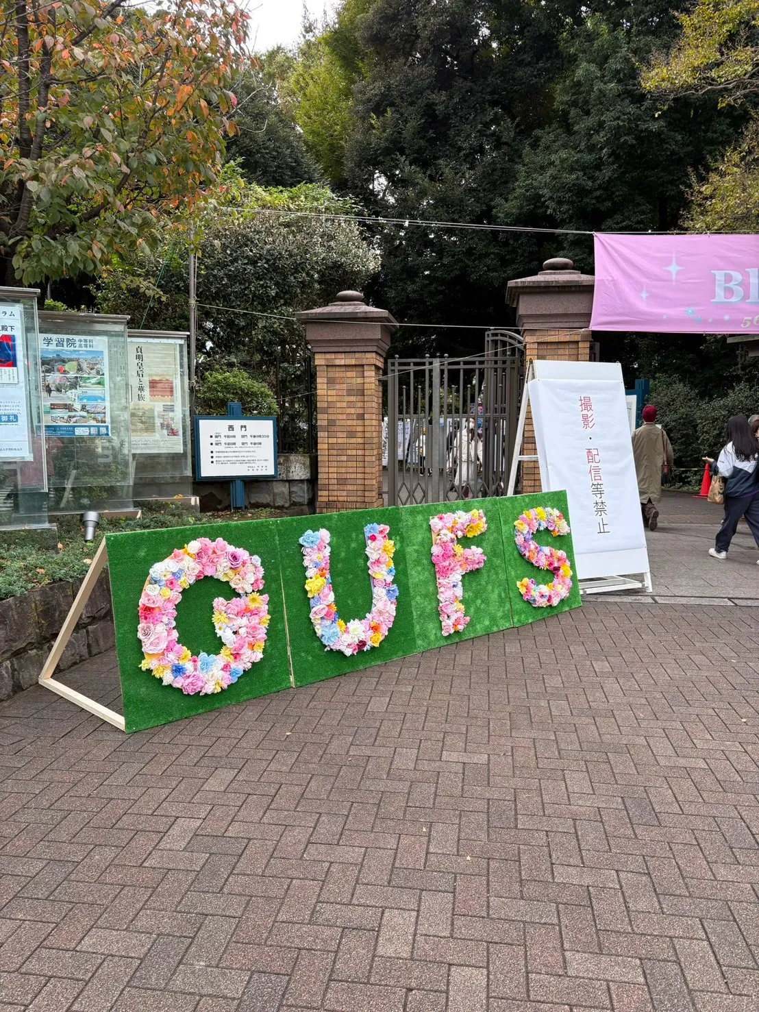 桜凛祭2025の写真です！