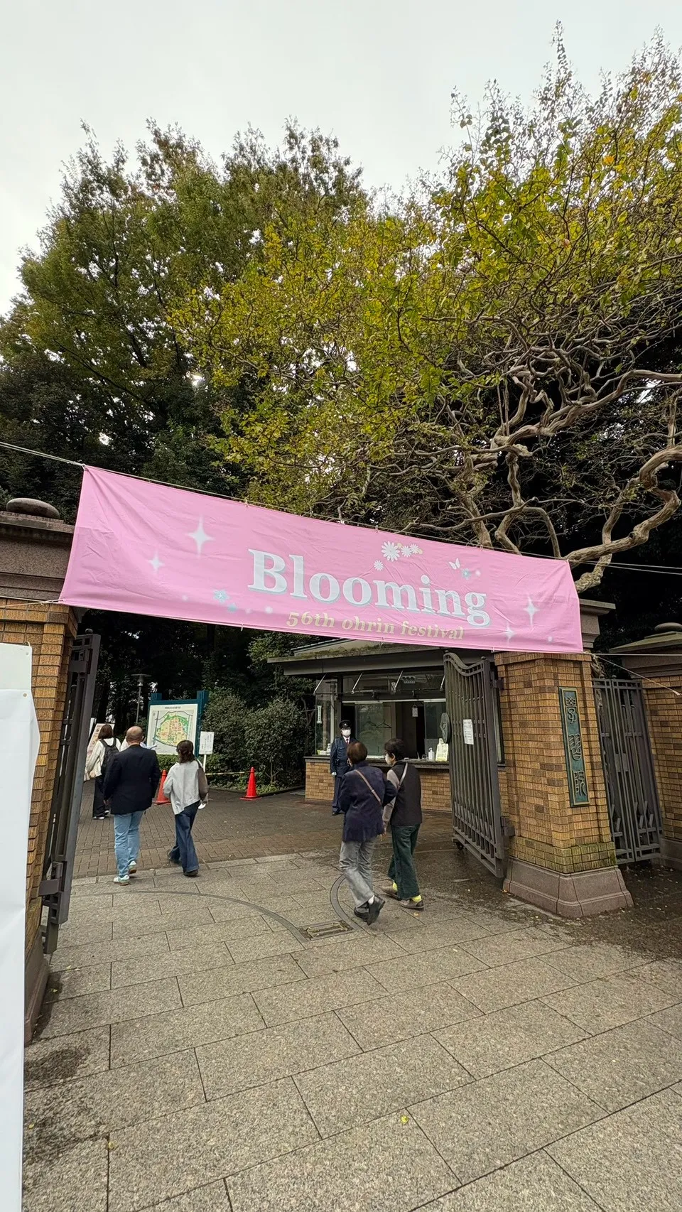 桜凛祭2025の写真です！