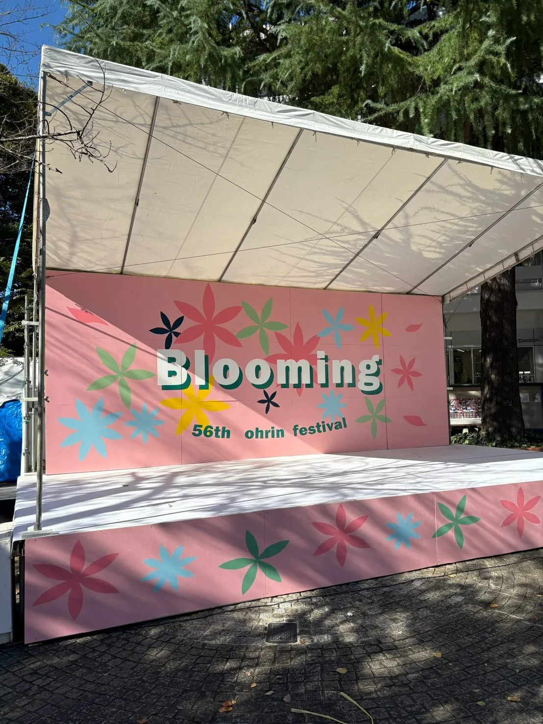 桜凛祭2025の写真です！