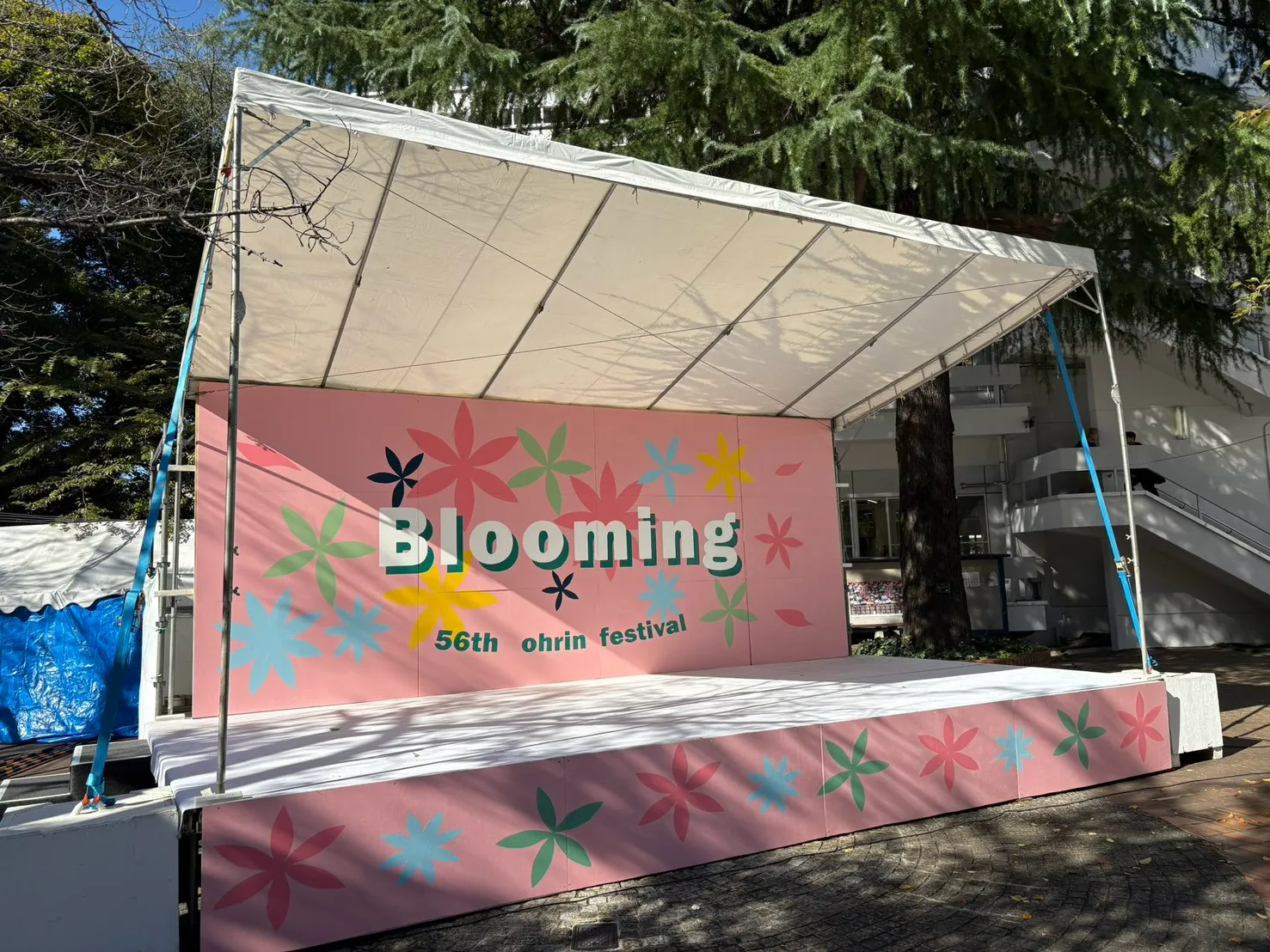 桜凛祭2025の写真です！