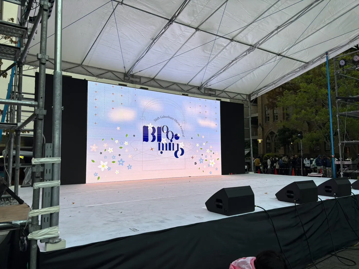 桜凛祭2025の写真です！