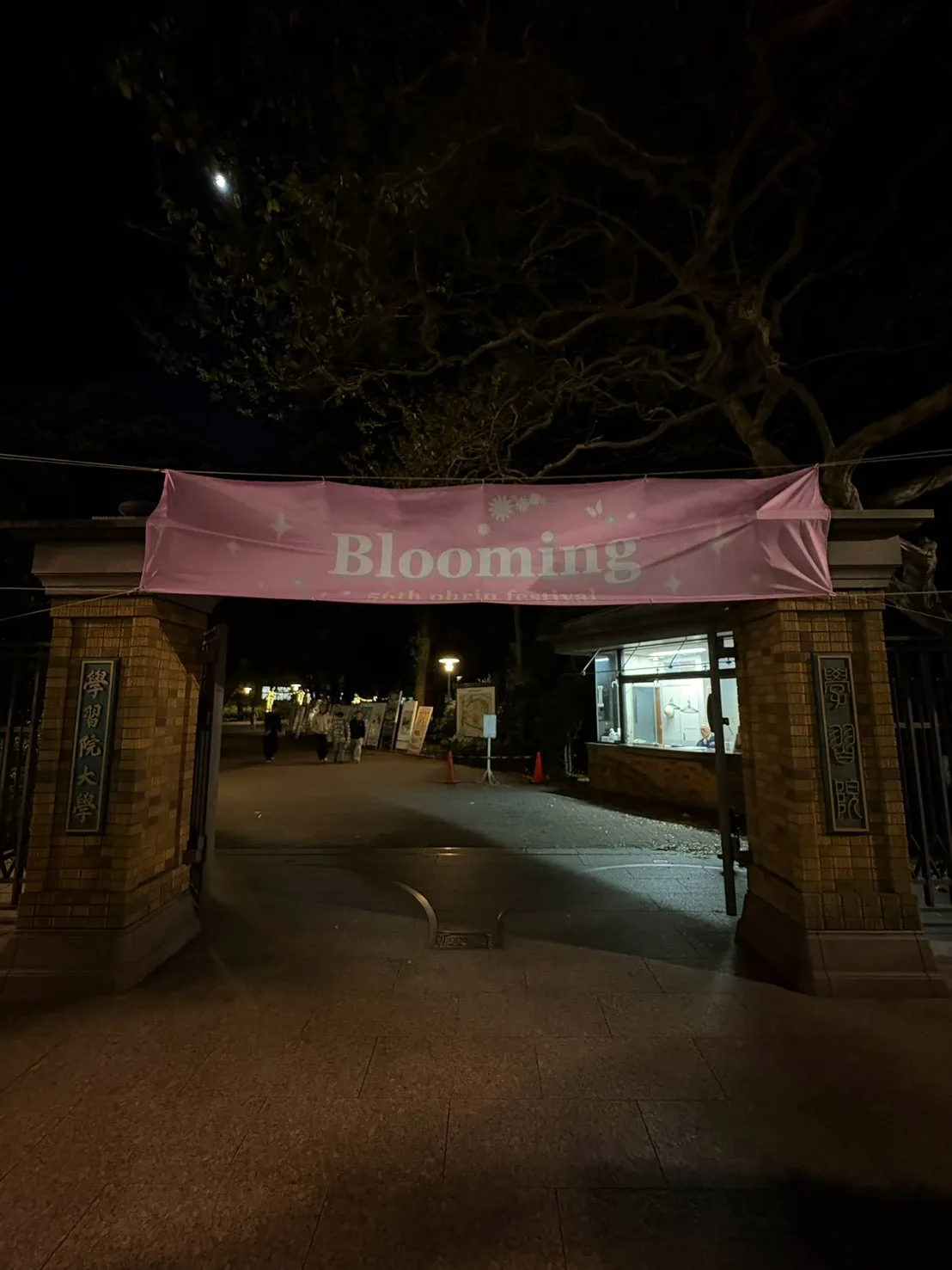 桜凛祭2025の写真です！