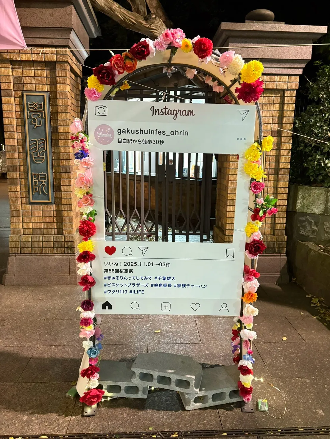 桜凛祭2025の写真です！